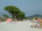 palombaggia (7).jpg (36,457 bytes)